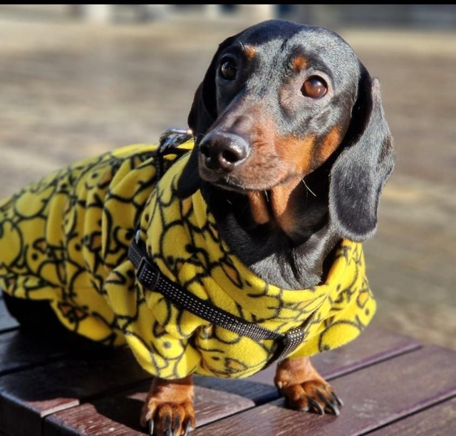 Patterned fleece jumper