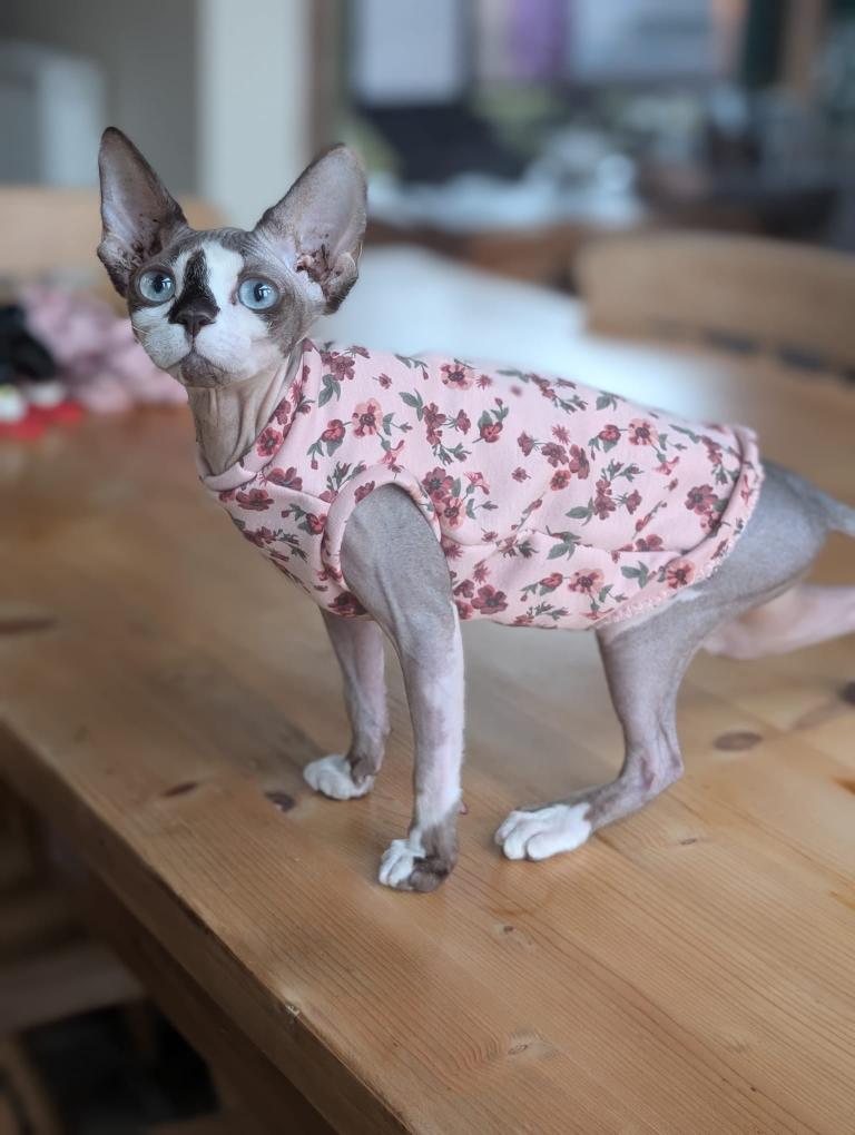 Cat alpine fleece jumper