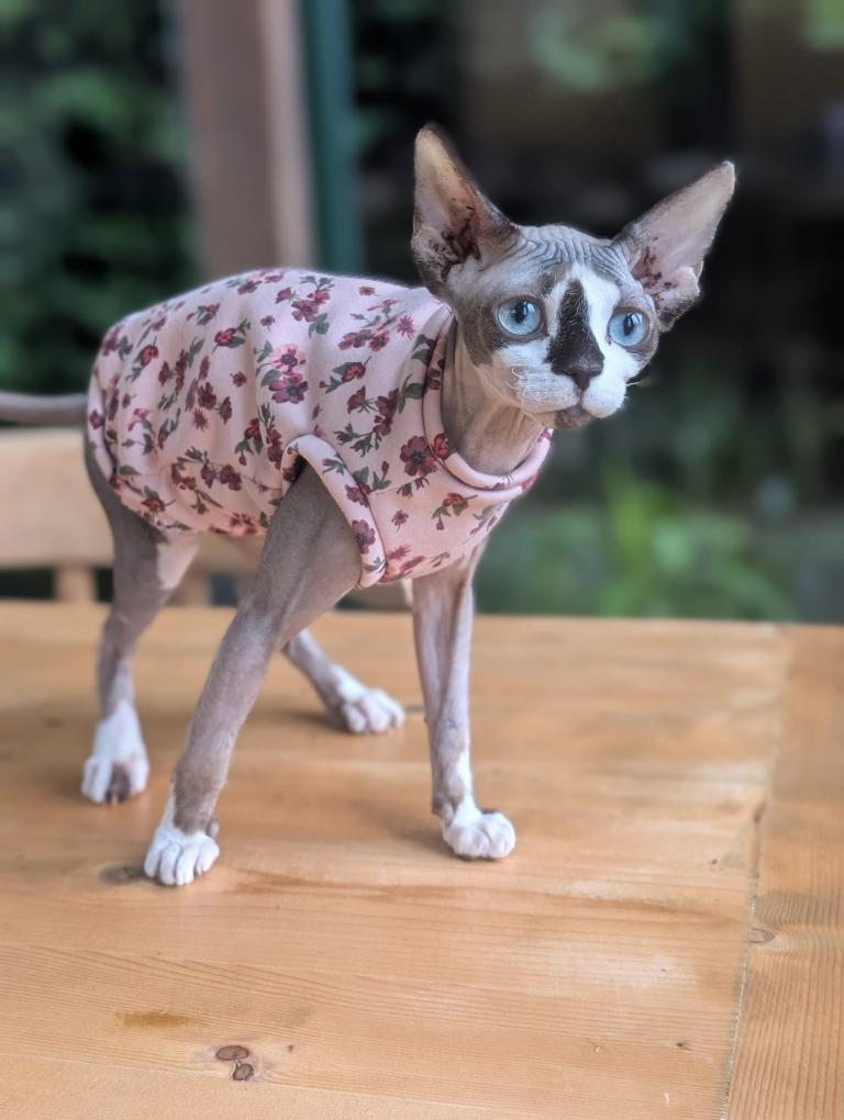 Cat alpine fleece jumper