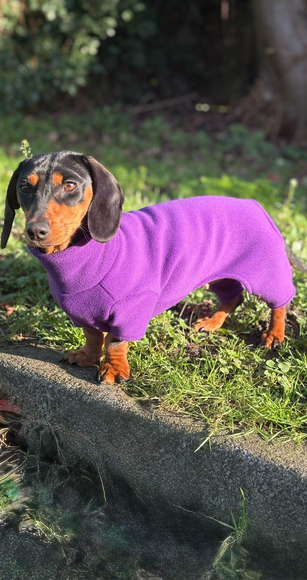 Dachshund fleece onesie