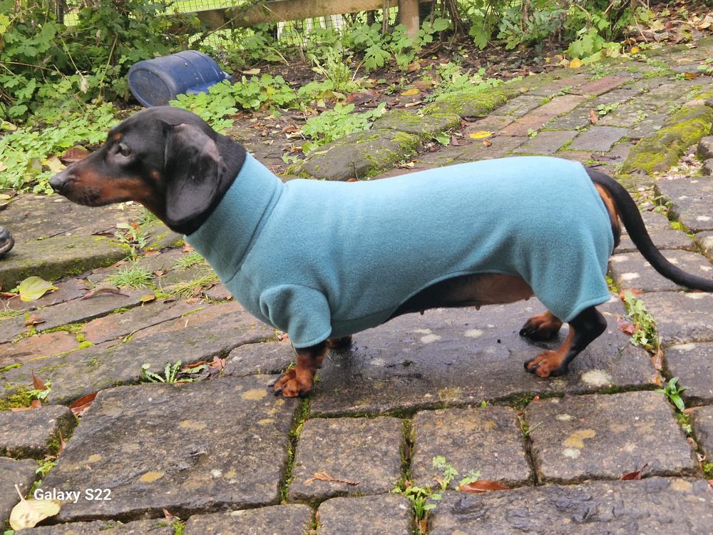 Dachshund fleece onesie
