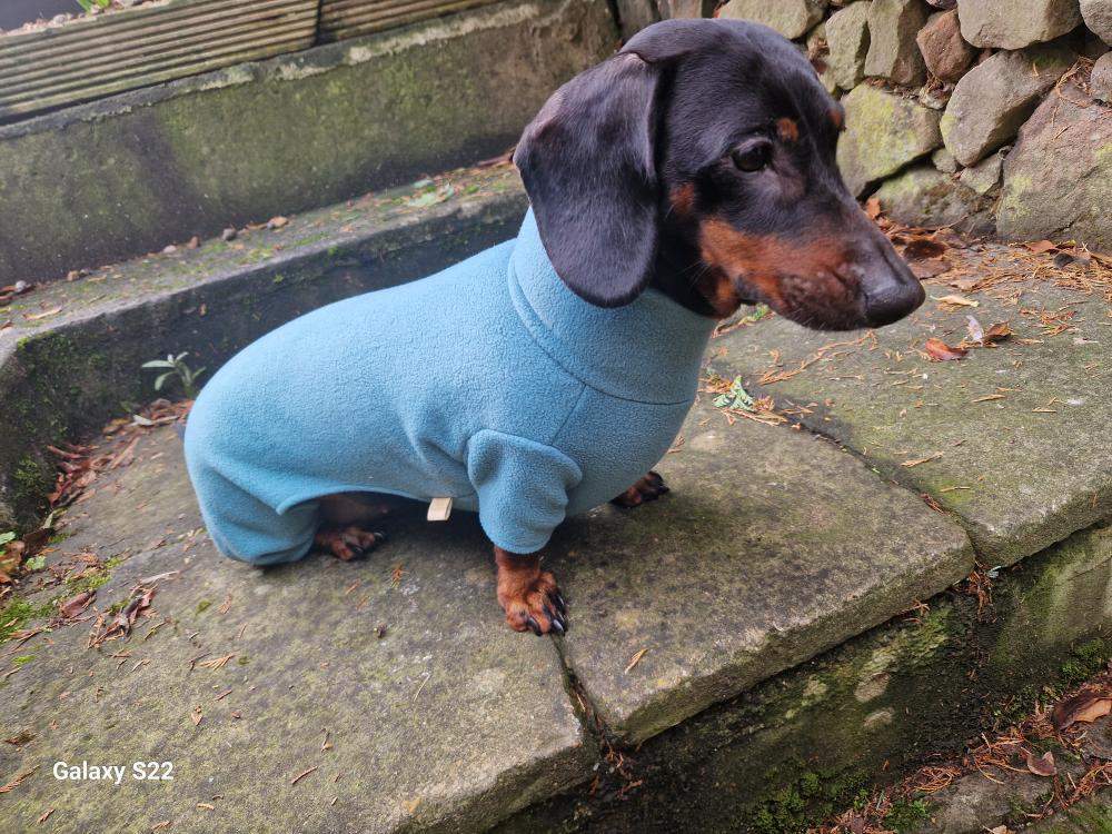 Dachshund fleece onesie