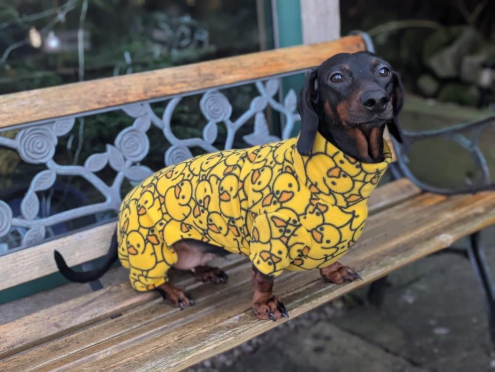 Dachshund patterned fleece onesie