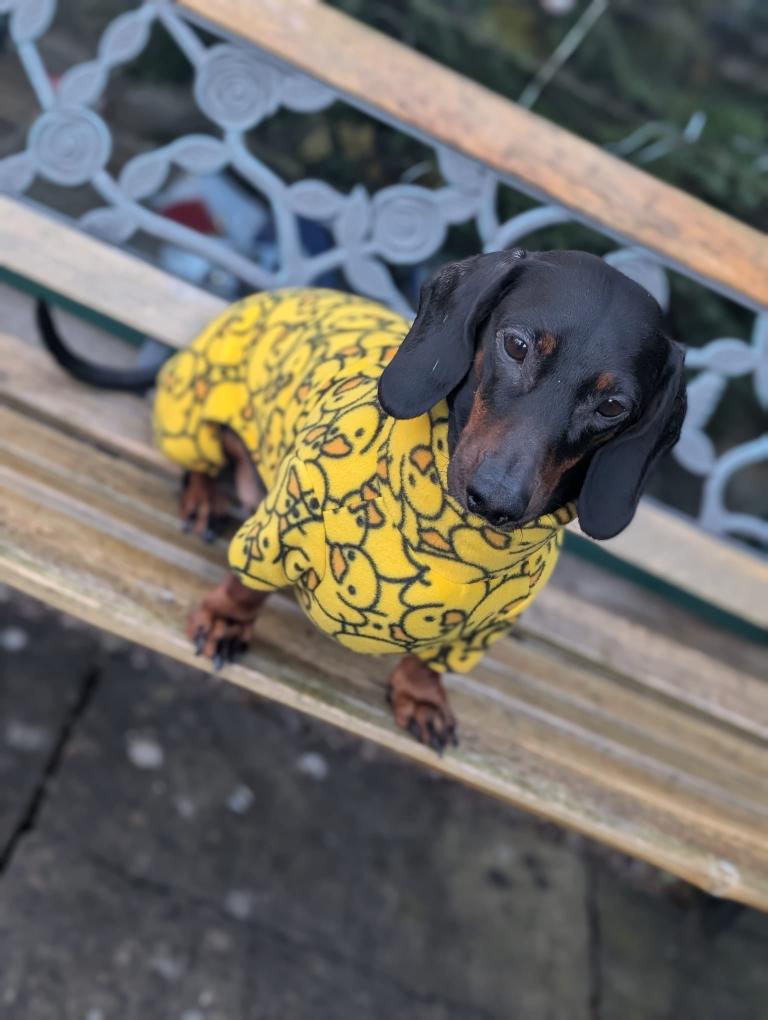 Dachshund patterned fleece onesie
