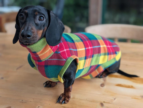 Pattern fleece jumper