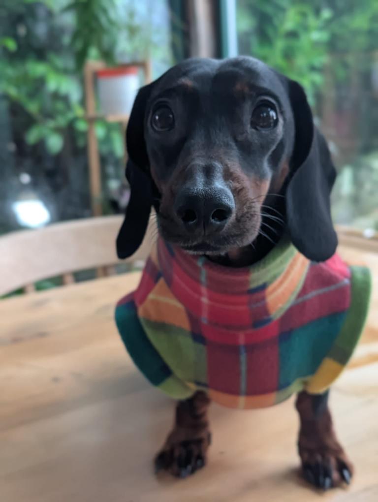 Pattern fleece jumper