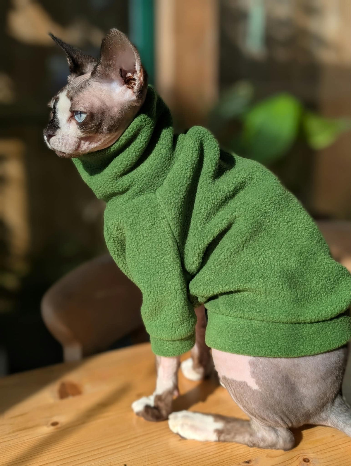 Plain fleece long sleeve cat jumper