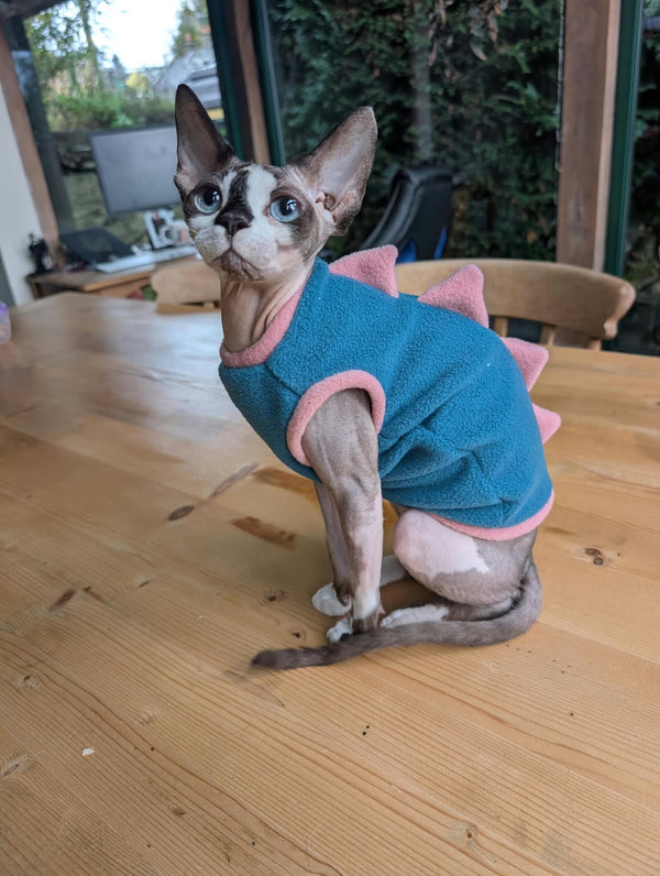 Dino cat jumper