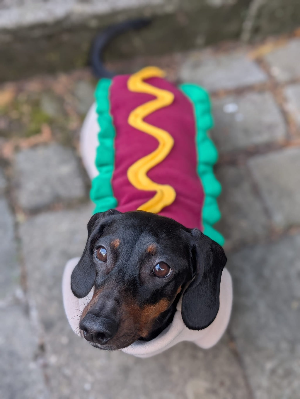 Hot dog jumper
