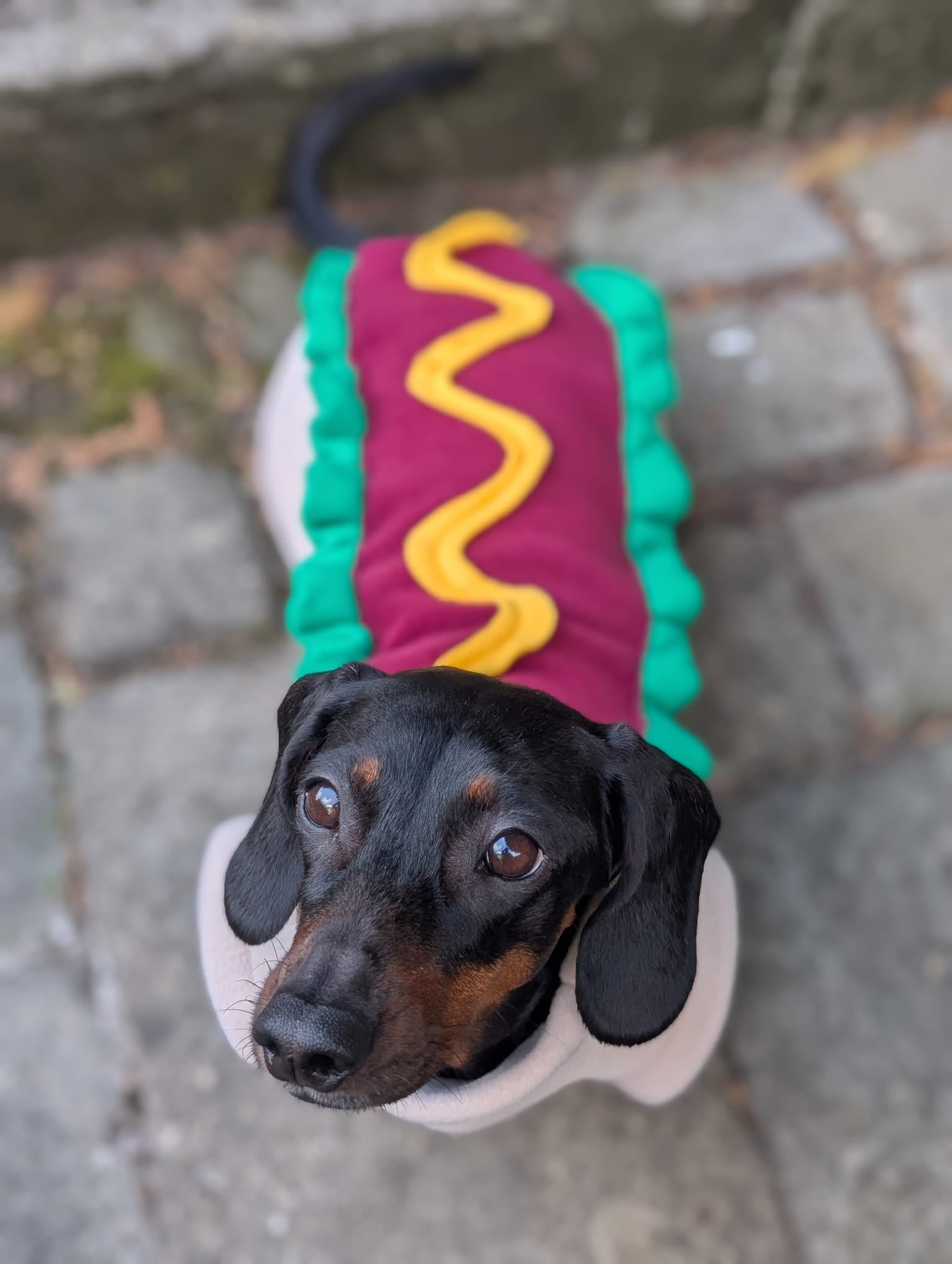 Hot dog jumper
