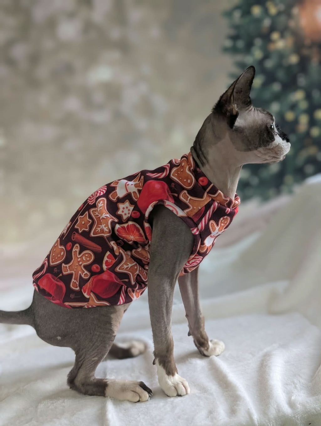 Cat Christmas jumper