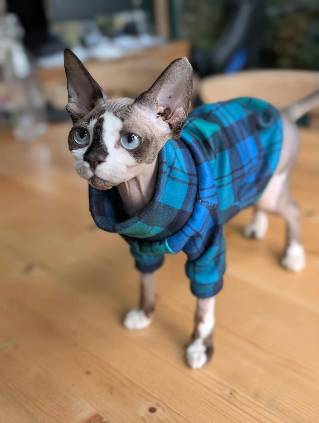 Tartan collection cat eco fleece jumper