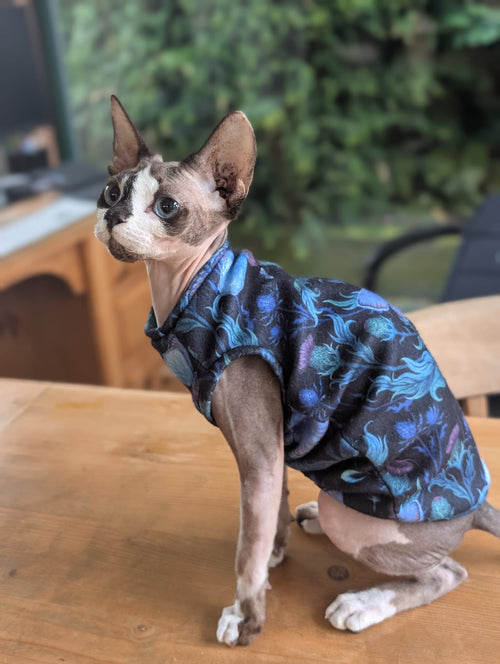 Alternative cat eco fleece