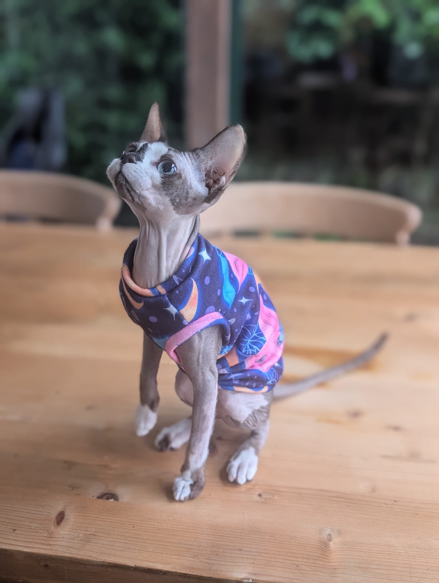 For your cats only eco fleece jumper