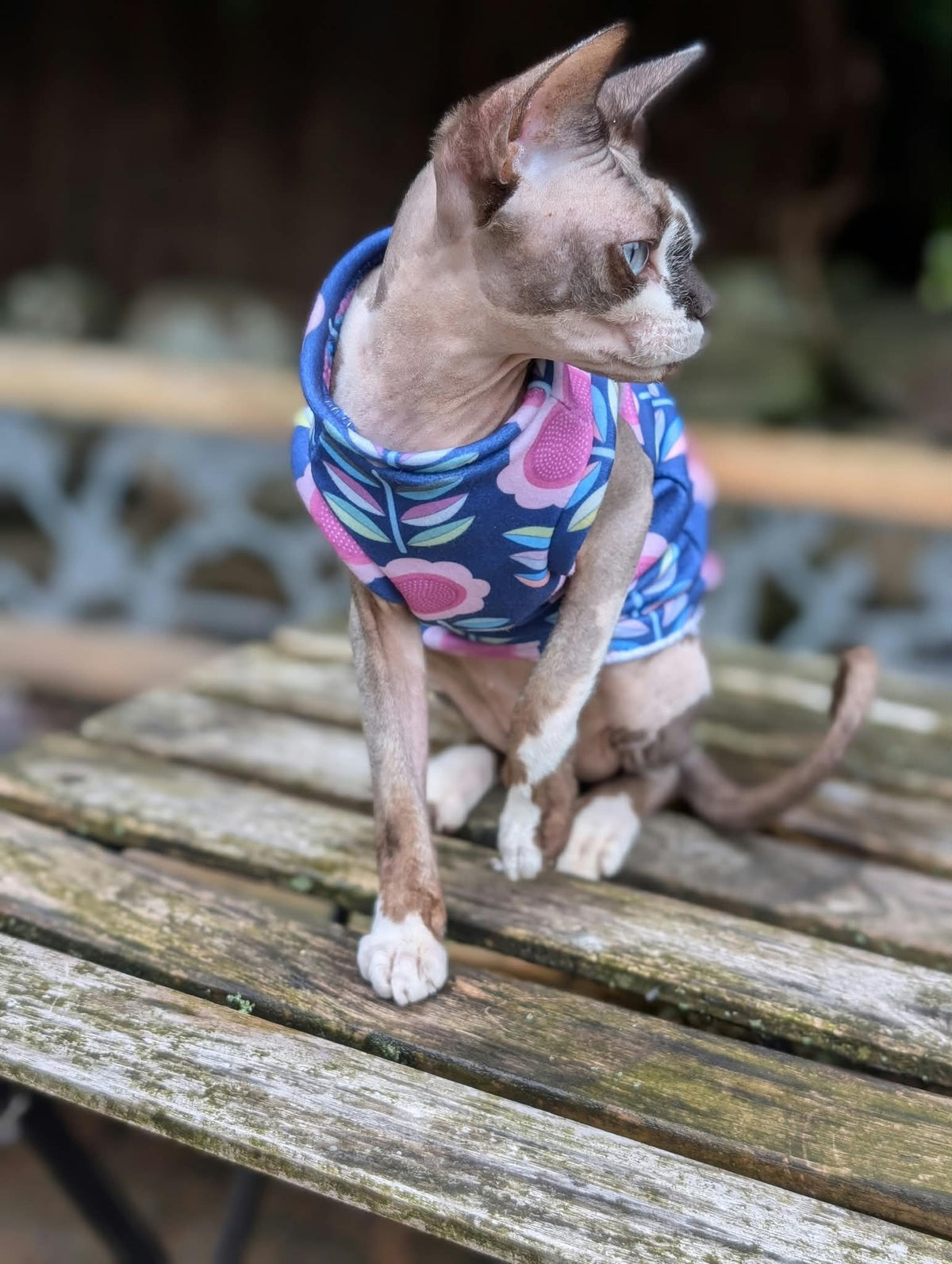 Retro cat eco fleece