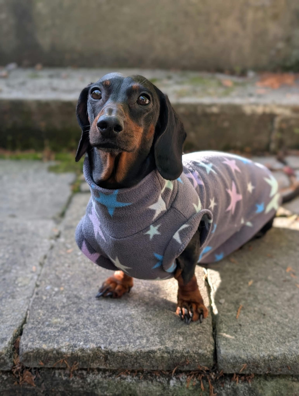 Pattern fleece jumper