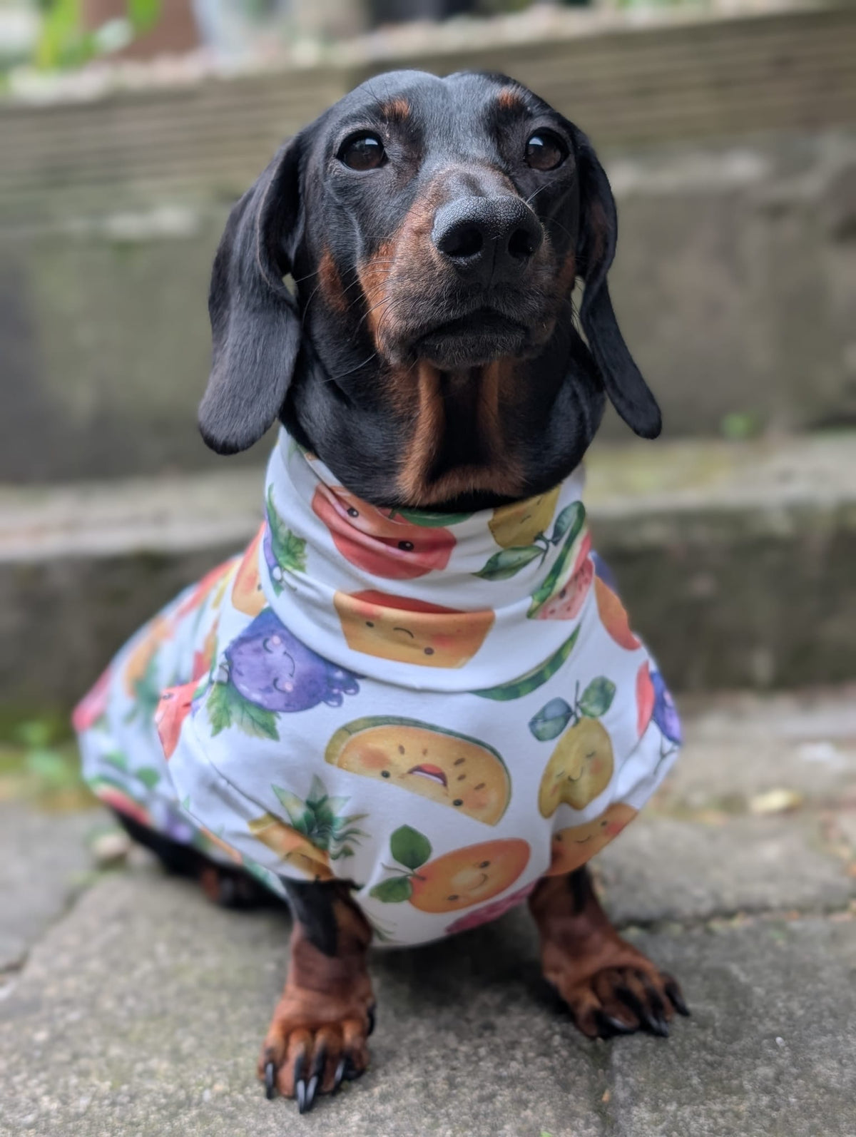 Fruit jersey