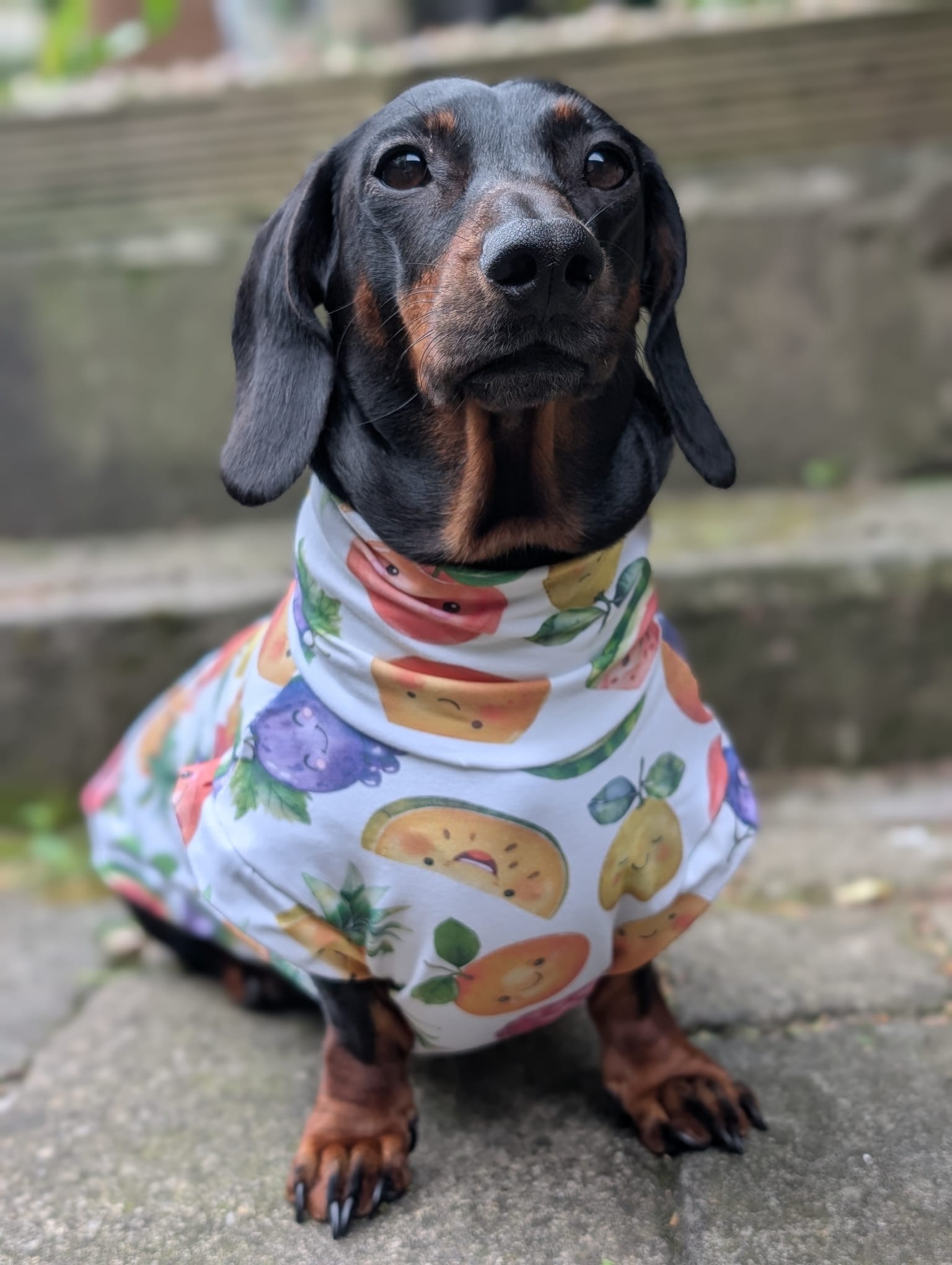 Fruit jersey