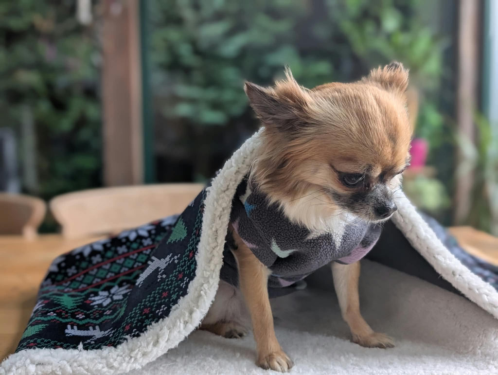 Sherpa lined Christmas snuggle sack