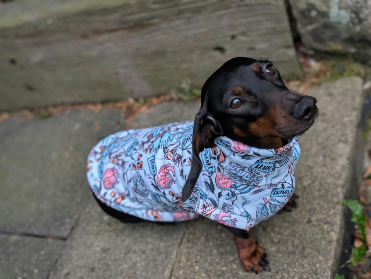 Eco fleece alternative jumper
