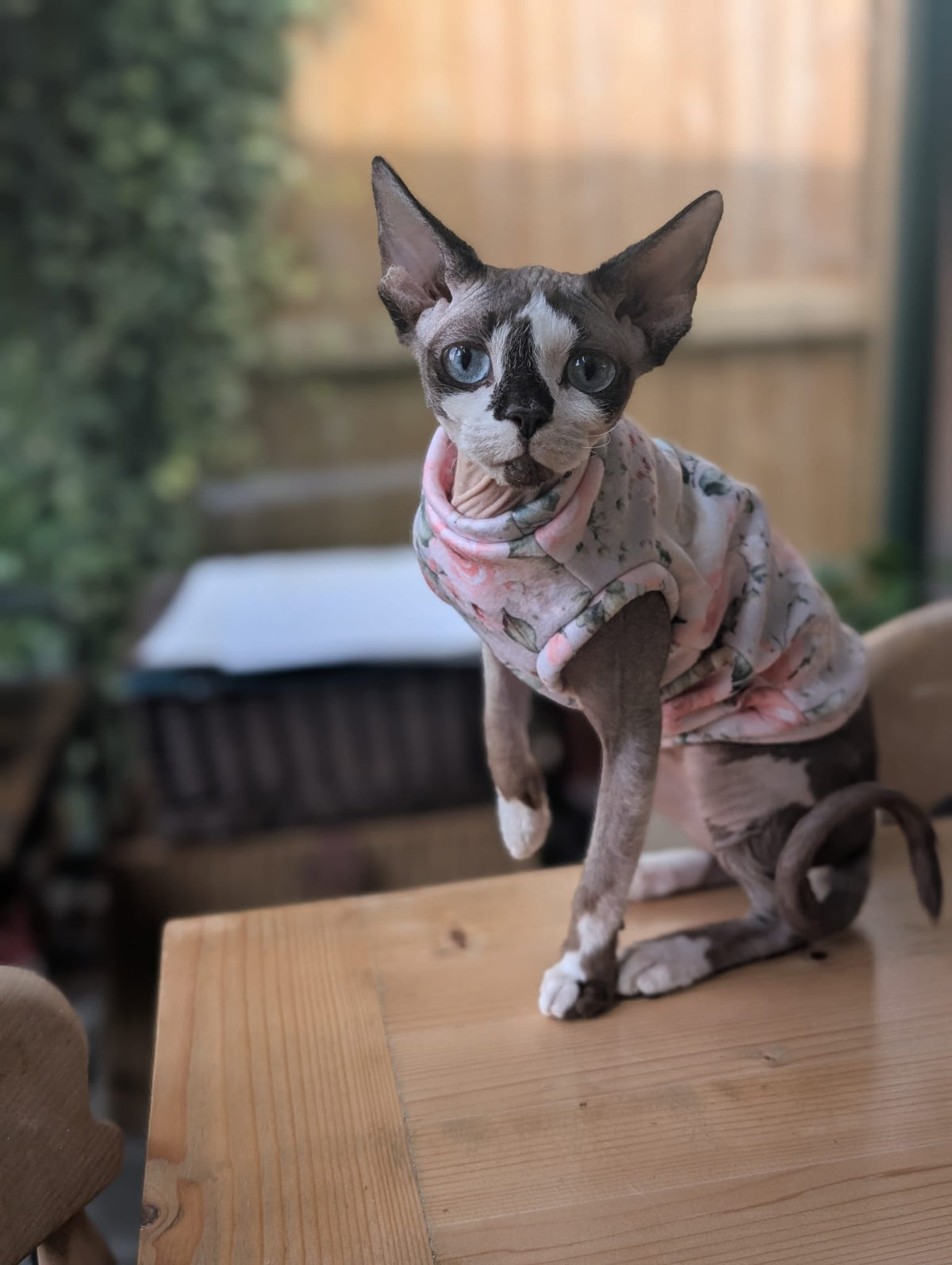 Cat floral collection eco fleece