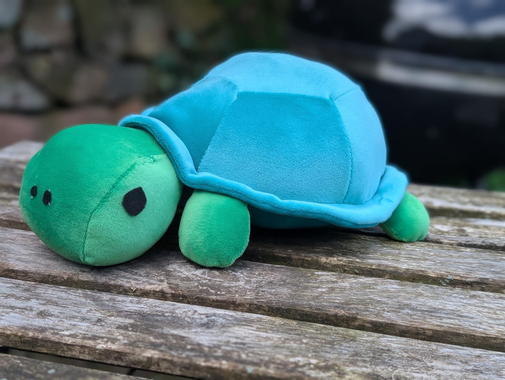 Suzi the Tortoise