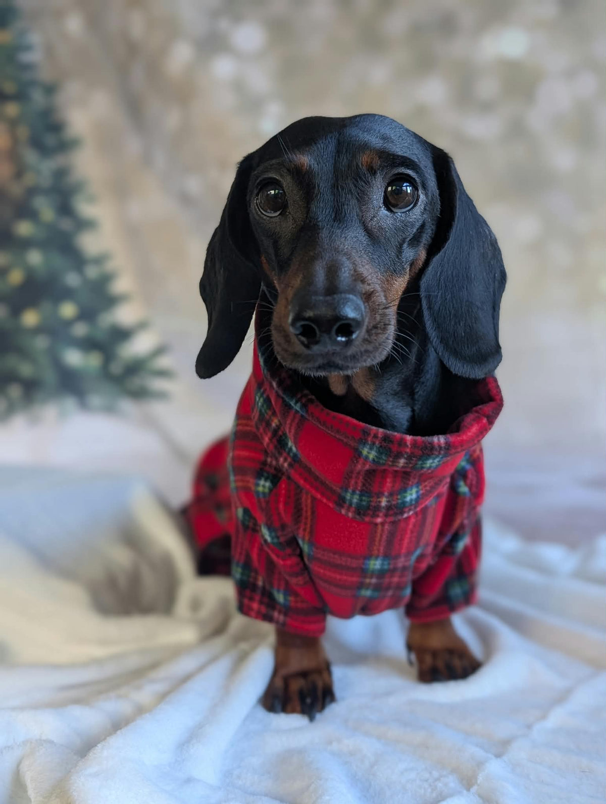 Christmas tartan onesie