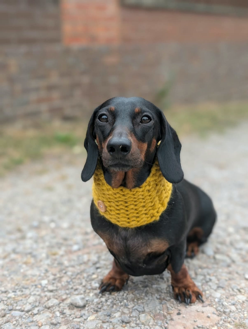 Chunky knit snood