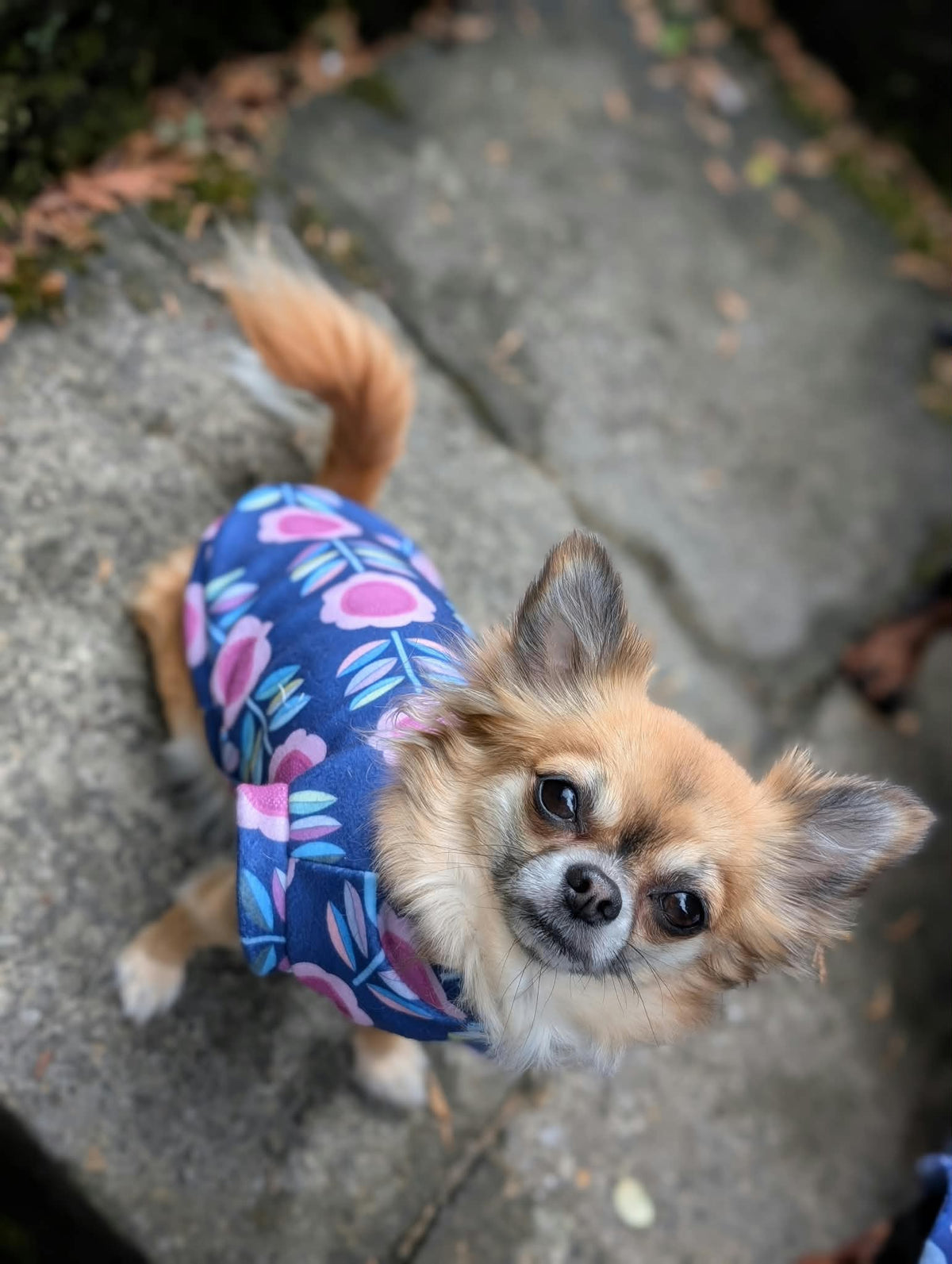 Retro eco fleece collection
