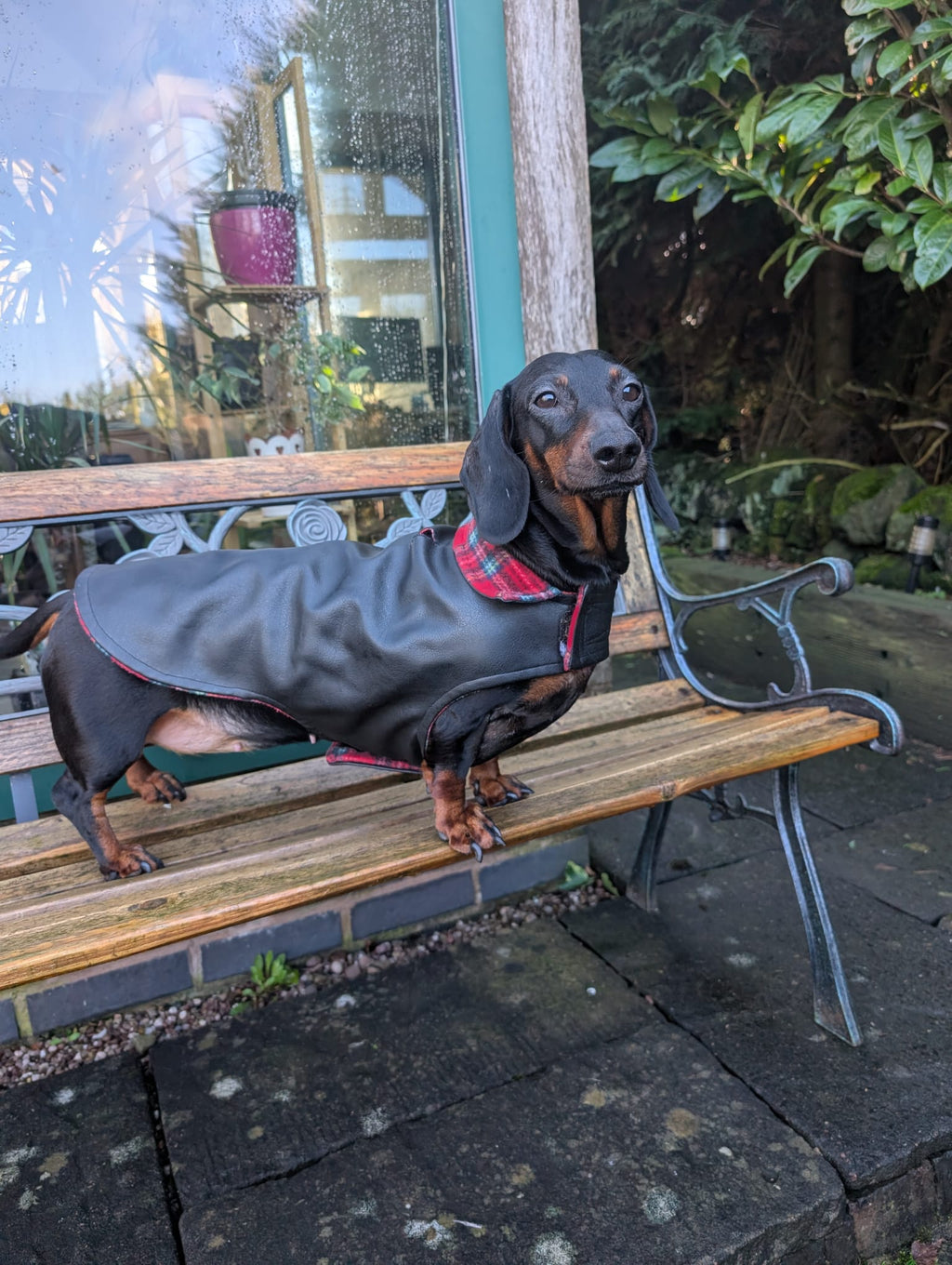 Faux leather dog coat with soft fleece lining