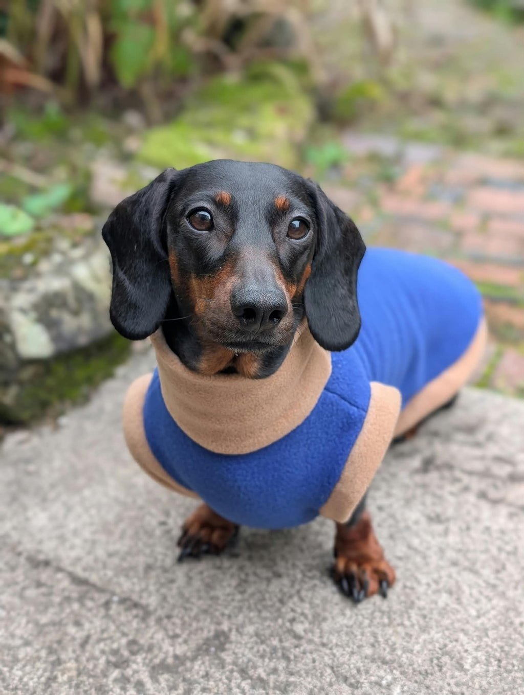 Color block jumper