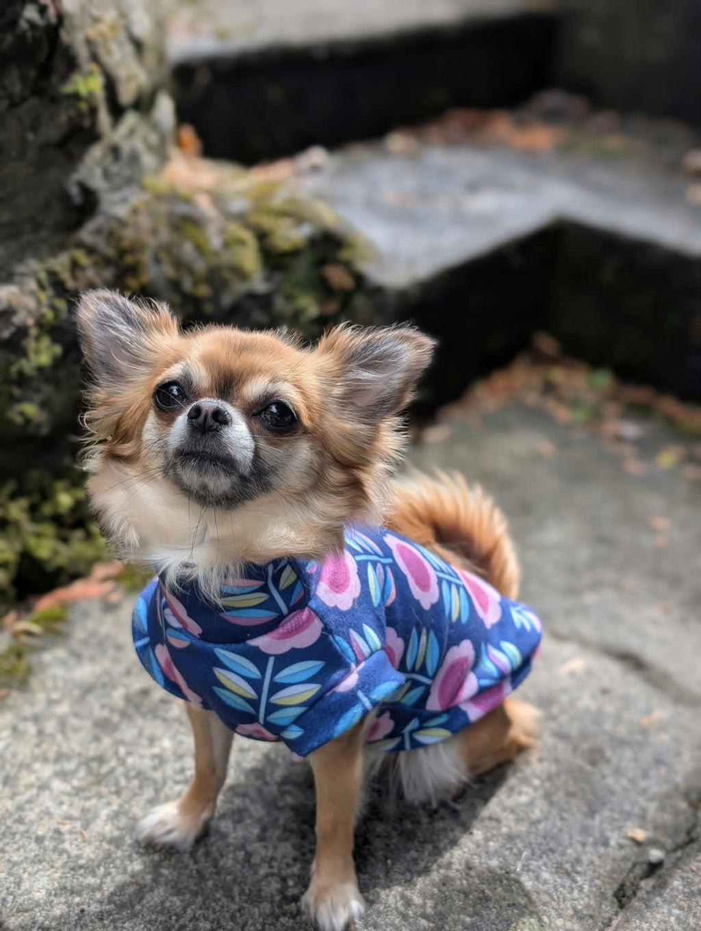 Retro eco fleece collection