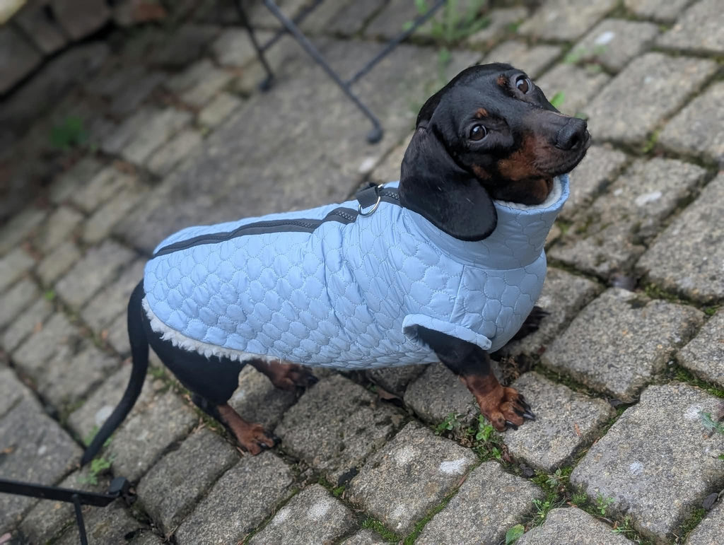 Sherpa lined quilted coat