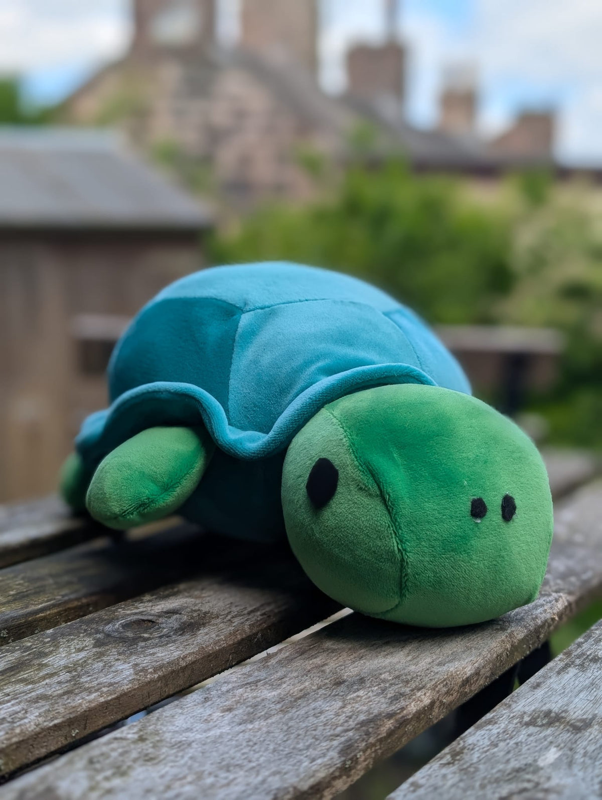 Suzi the Tortoise