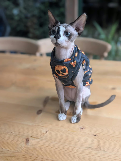 Alternative cat eco fleece