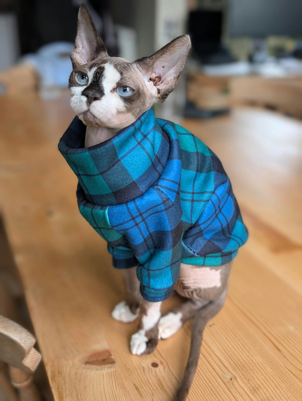 Tartan collection cat eco fleece jumper