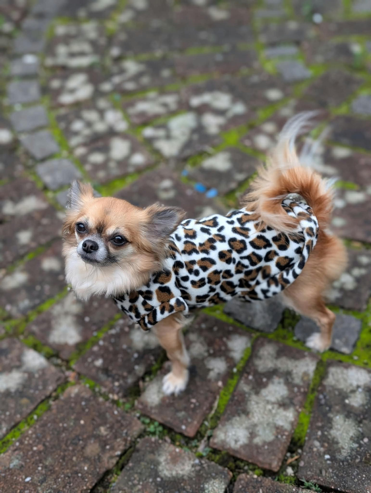 Pattern fleece jumper
