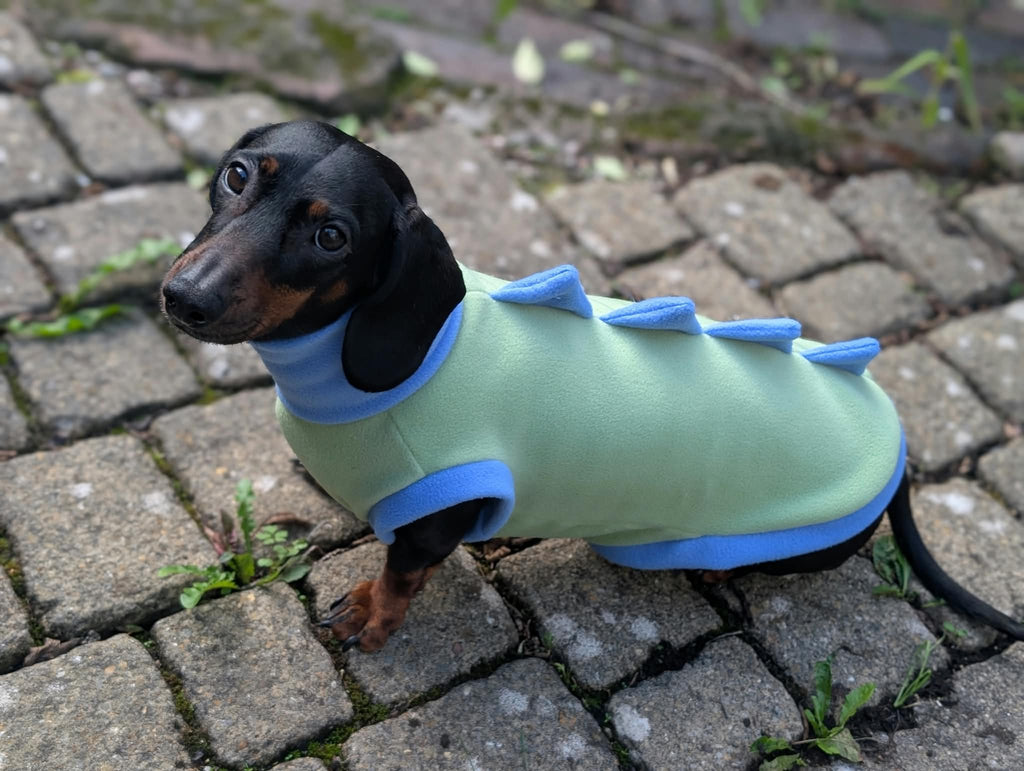 Dino fleece