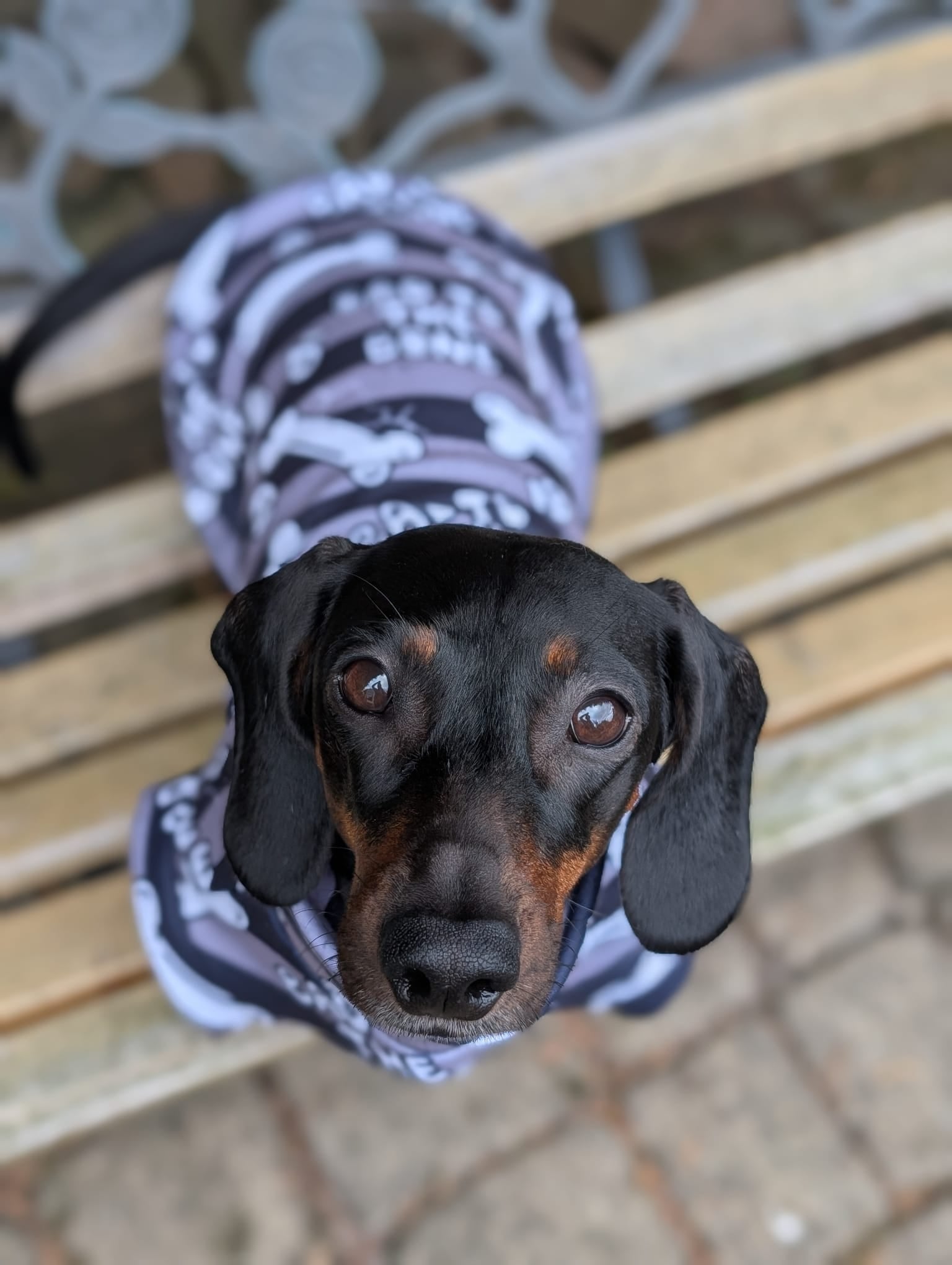 Halloween eco fleece jumpers