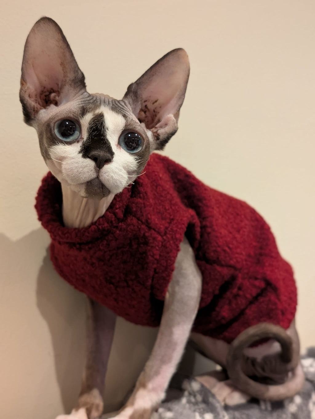 Boucle jumper