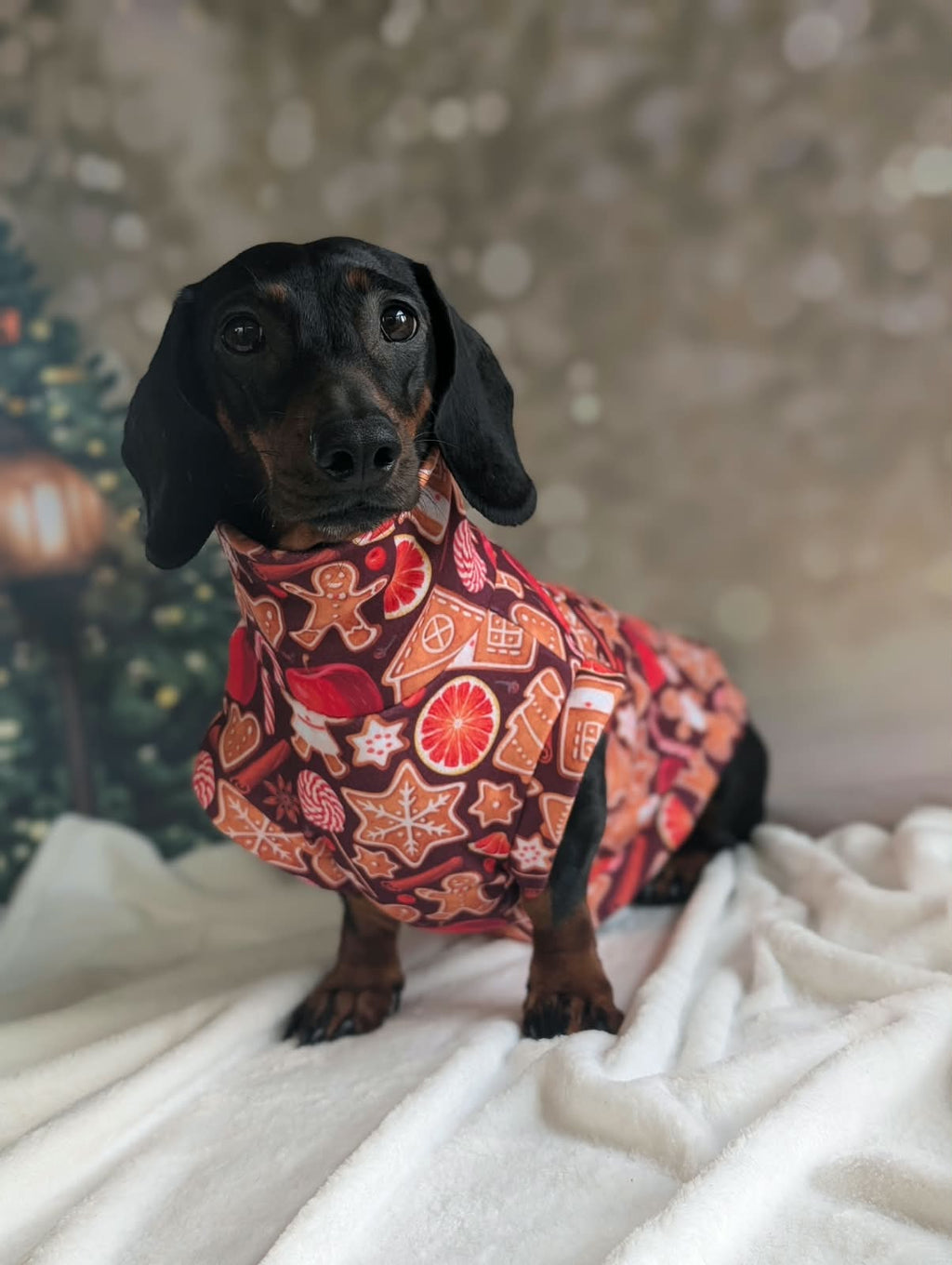 Eco fleece Christmas jumper