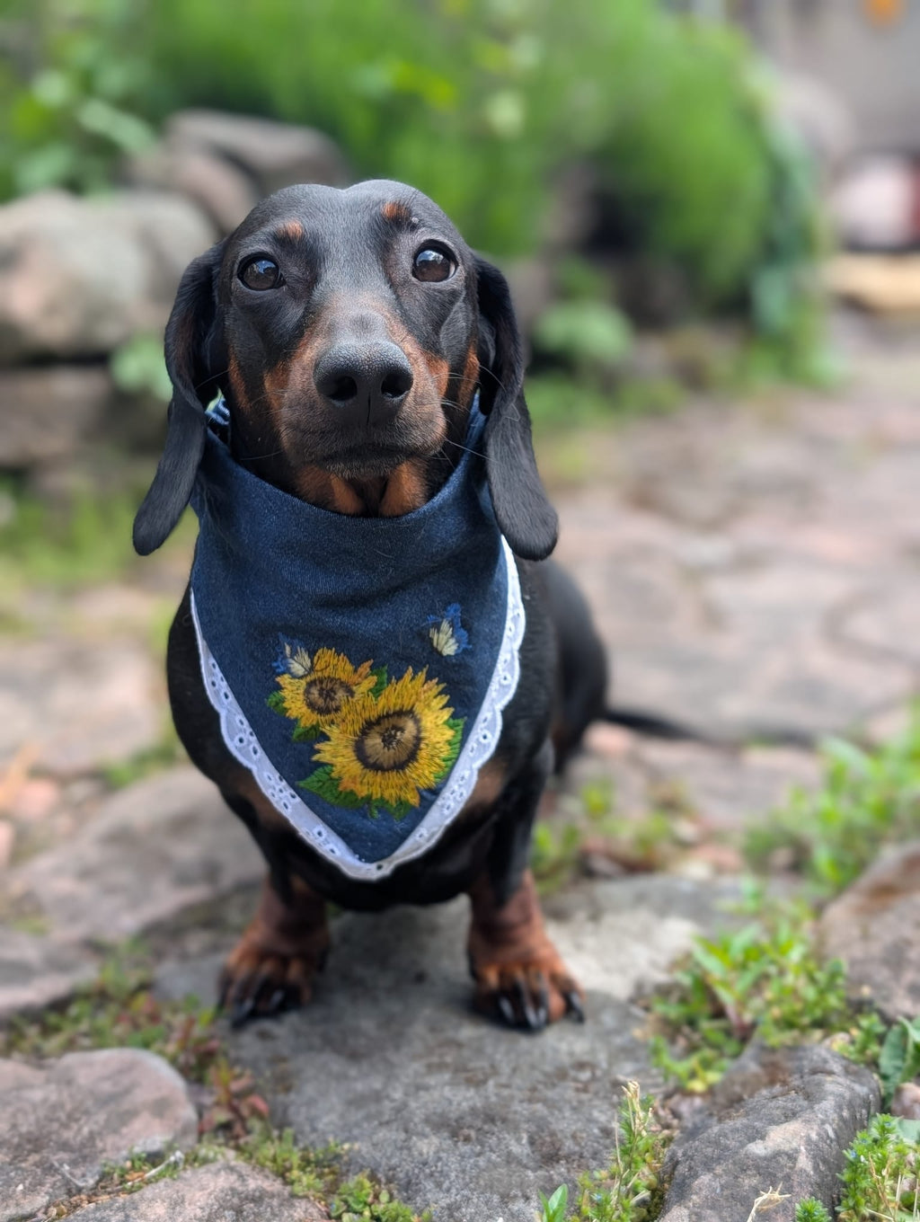 Floral embroidery denim bandanas