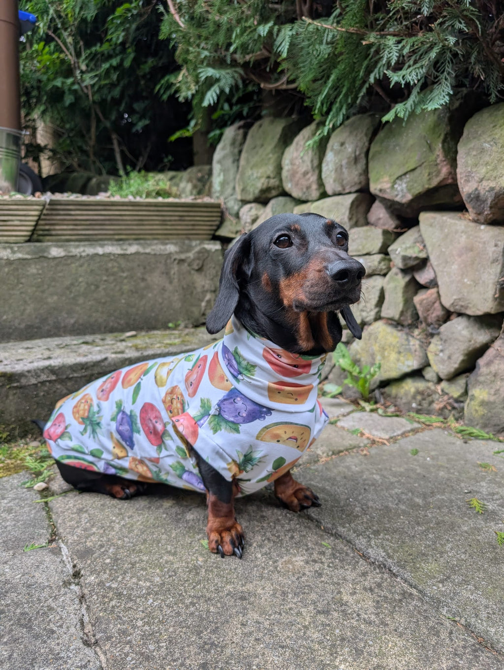 Fruit jersey