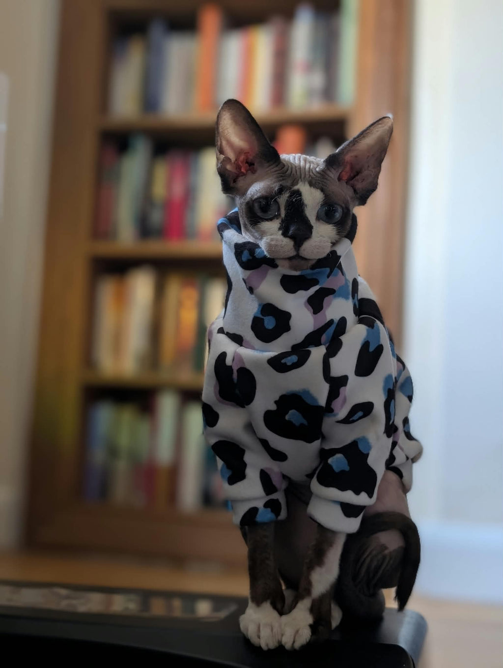 Long sleeve patterned fleece jumper