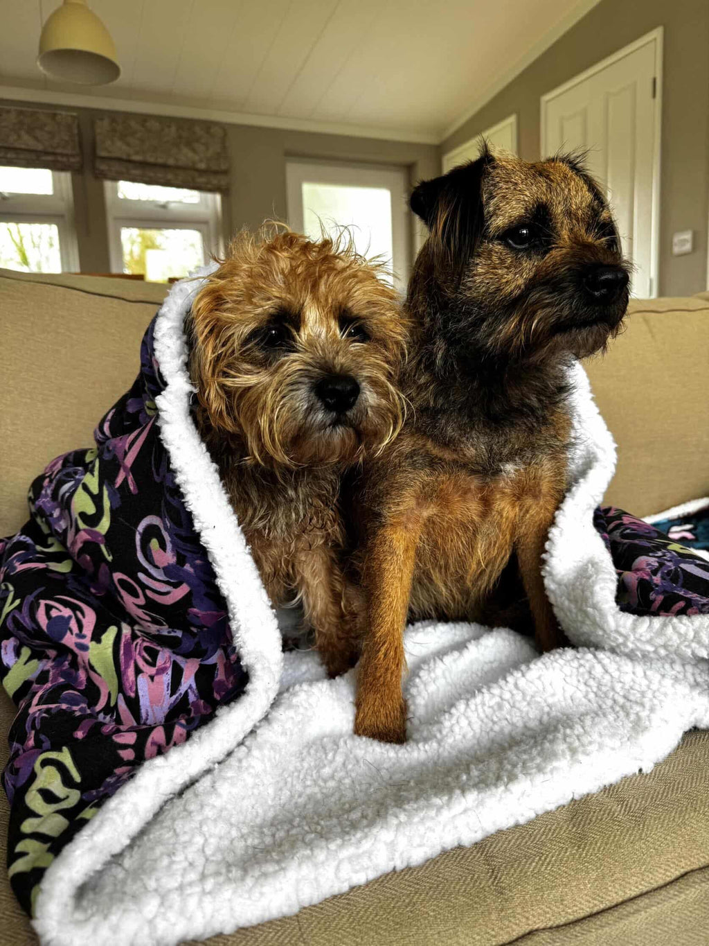 Large sherpa lines snuggle sack