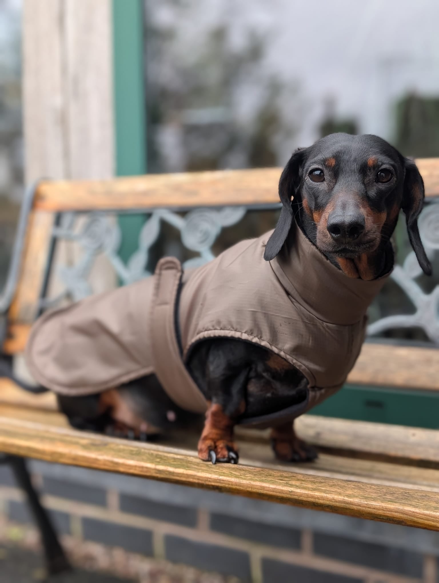 Lightweight raincoat