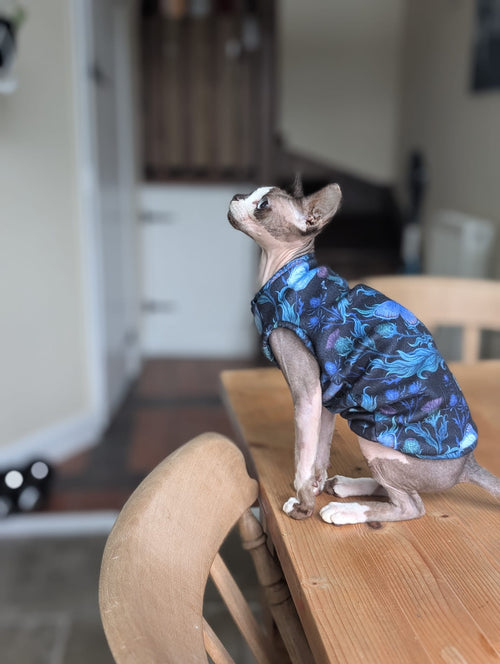 Alternative cat eco fleece