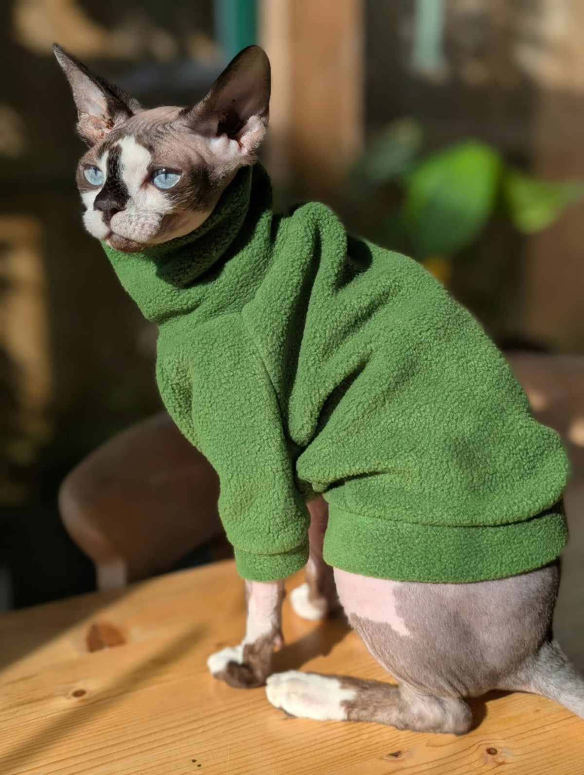 Plain fleece long sleeve cat jumper