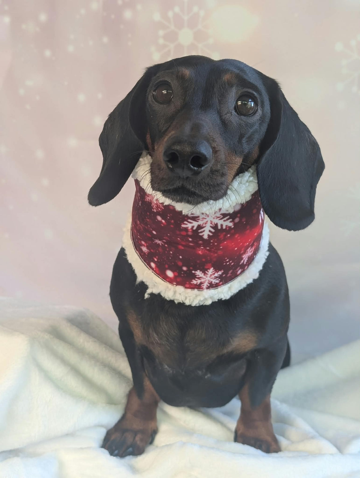 Sherpa lined Christmas snoods