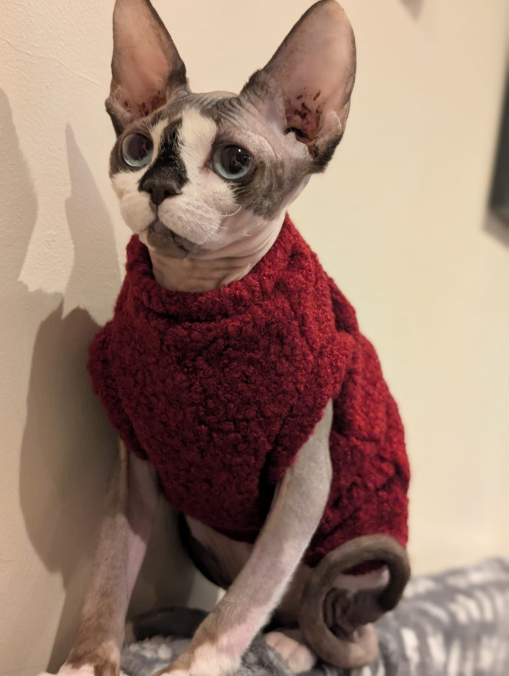 Boucle jumper
